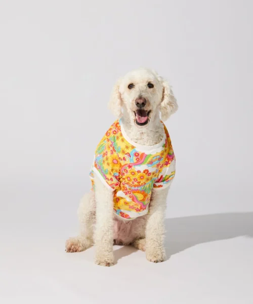 Good Vibes Stretch Jersey Dog Pajama